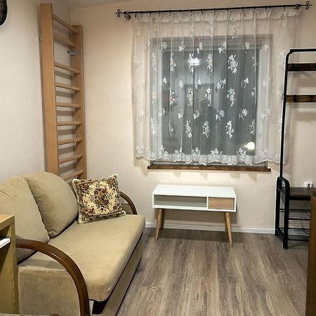 Nowoczesne Studio Z Ogrodem I Parkingiem Poznań Kültér fotó
