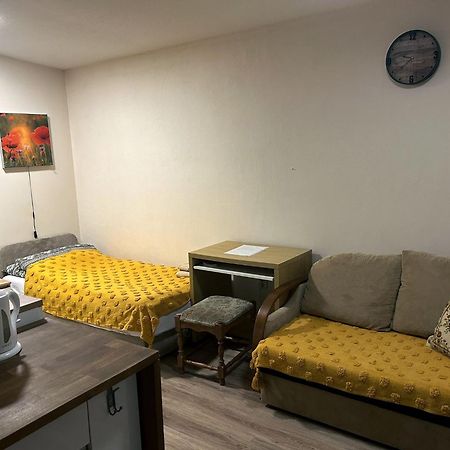 Nowoczesne Studio Z Ogrodem I Parkingiem Poznań Kültér fotó